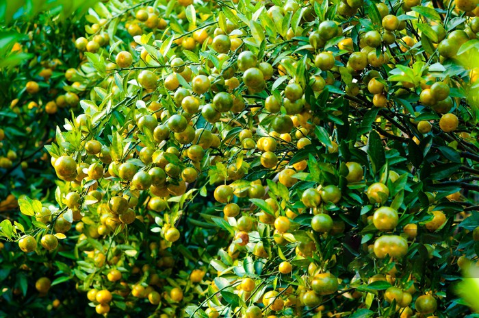 1679302270560173.jpg